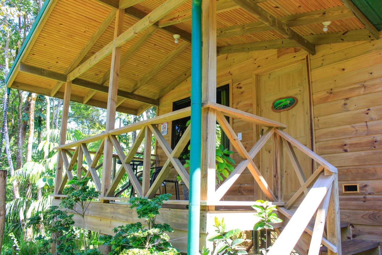 Forest Lodge Uvita Luaran gambar