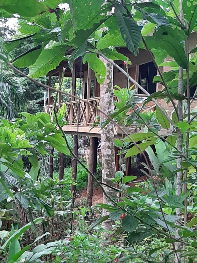 Forest Lodge Uvita Luaran gambar