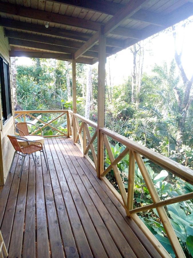 Forest Lodge Uvita Luaran gambar